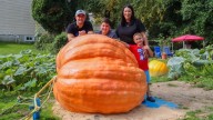 Broomall family has grown a giant pumpkin right in their own backyard