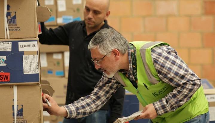 El ICA optimiza las exportaciones de flores a Australia con Inspección en Origen