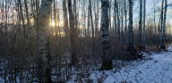Dokken: DNR request for hunter wildlife sightings triggers memory of llama encounter