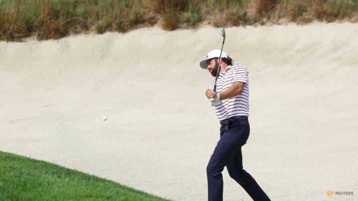 From teen dream to reality, Young ready for Bethpage homecoming