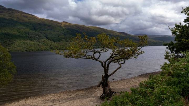 'Possible human remains' discovered in Loch Lomond