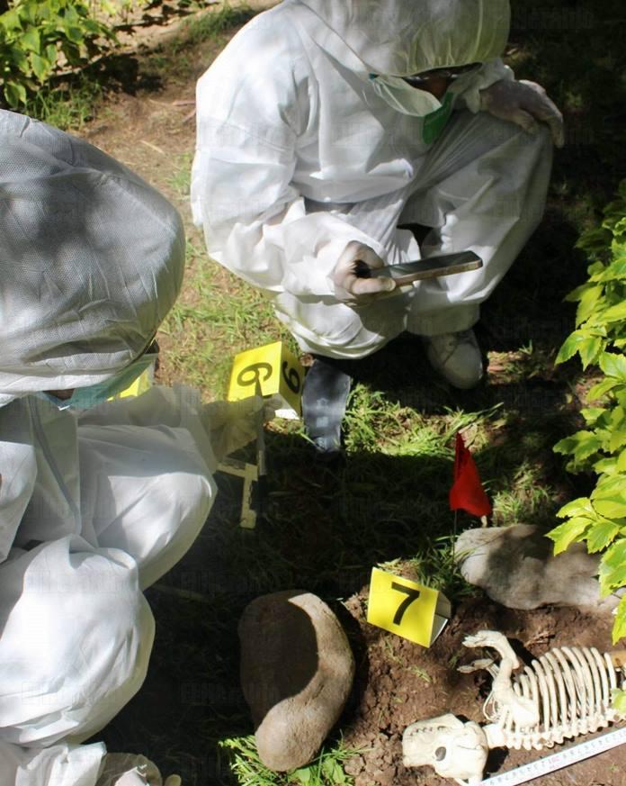 Realizan taller de veterinaria forense
