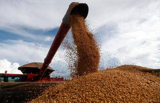 Brasil recogerá este año una cosecha récord de 341,2 millones de toneladas de granos