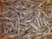 Sigue el alerta por los "camarones radiactivos": se amplió el retiro de supermercados por contaminación