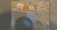 Fugitive found hiding in clothes dryer of Pennsylvania home