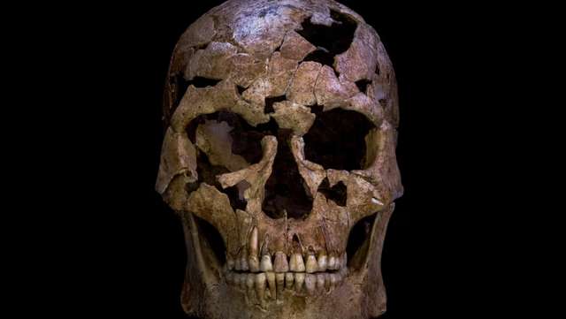 Ice age skeleton with broken neck bone provides rare glimpse into the lives of ancient hunter