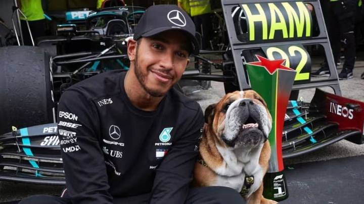 El duro momento que atraviesa Lewis Hamilton tras perder a su perro Roscoe