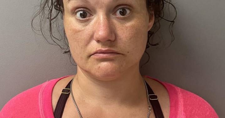 Bristol Virginia police seize meth, fentanyl during traffic stop