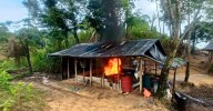 Coca para todos los grupos ilegales: destruyen cuatro laboratorios en el Bajo Cauca
