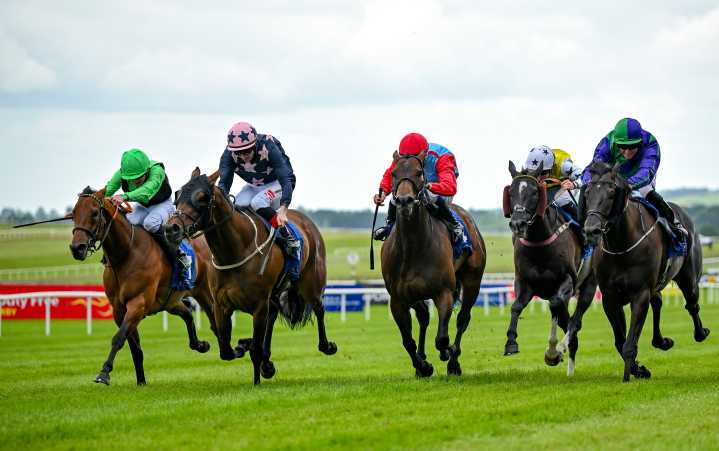 Flora and My Mate Alfie look ready to Dance in Sprint Cup