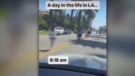 Impromptu influencer shoots break out on LA roads