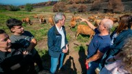 Galicia hará llegar toneladas de paja a la fauna por helicóptero