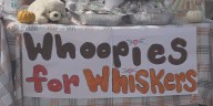 Whoopies for Whispers returns to Bangor for fifth year