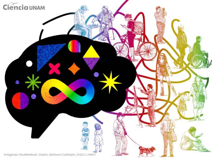 Acaso, ¿todas las personas  somos neurodiversas?