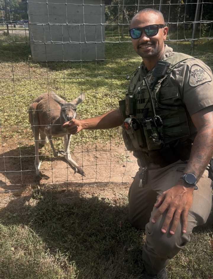 Pet kangaroo kicking around Edgewater, Natural Resources police report
