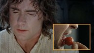 Pippin Suffers PTSD Flashback Every Time He Sees Someone Eat Cherry Tomato