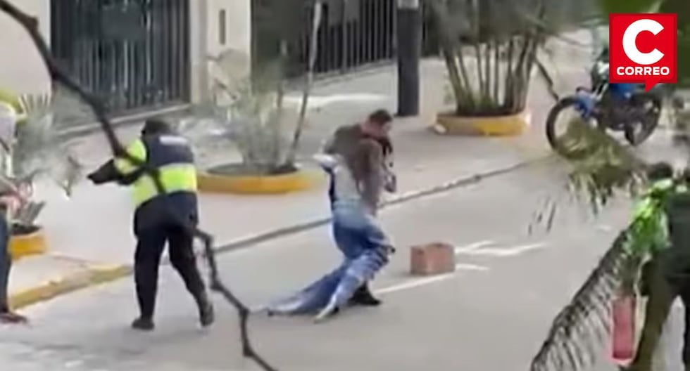 Jesús María: Mujer atacada por enjambre de abejas mientras repartía volantes en la vía pública