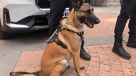 Kira, una policía diferente para la ciudad de Ávila