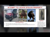 Thief gets away with 2 hawks in a UTV stolen from SoFi Stadium, police say