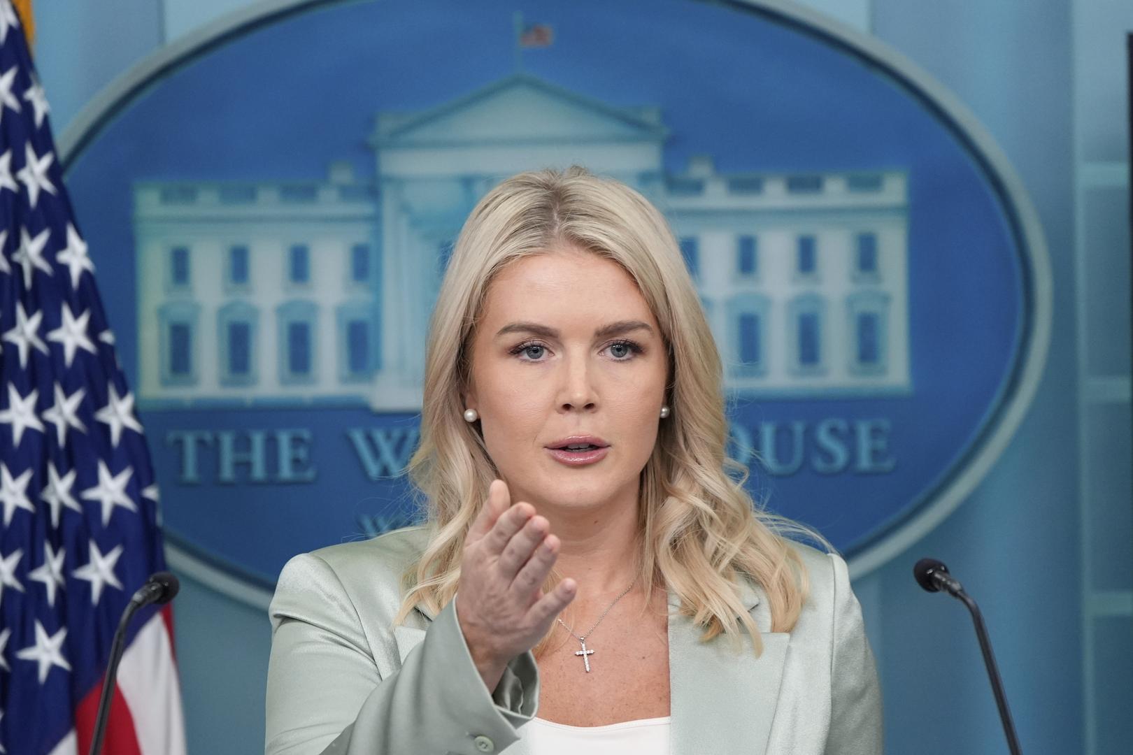 WH backs handwriting review of Epstein birthday book signature, insists Trump ties a Democrat 'hoax'