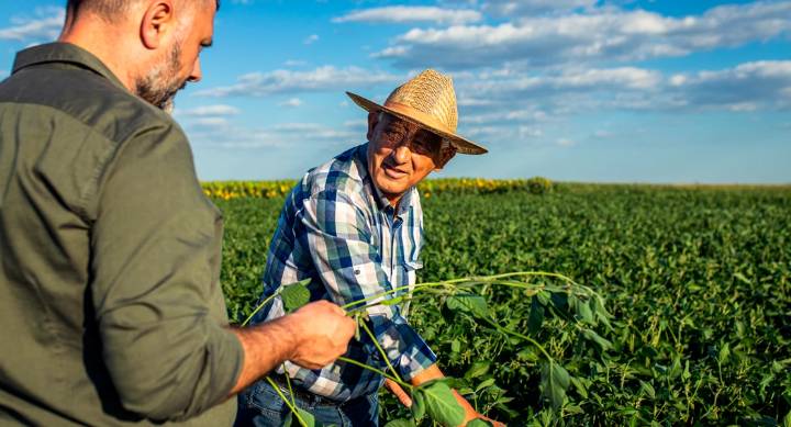 Agricultores y ganaderos podrán recibir hasta 20.000 € por explotación