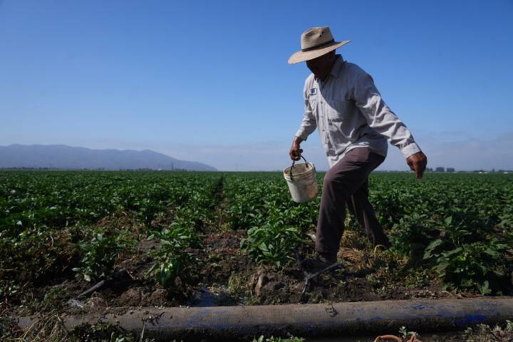 Exigen respuestas sobre mal trato en Centro del ICE en Camarillo