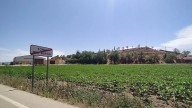 Torre del Burgo, el municipio de la España vacía que resucita con un 90% de inmigrantes