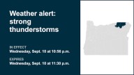 Thunderstorms with pea-sized hail Wednesday