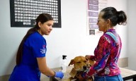 Tercera jornada del convenio de bienestar animal beneficia ya a cerca de 60 peluditos