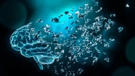 La ciencia investiga por qué se recuerdan algunos momentos de la vida y otros no