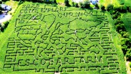Escobar's Corn Maze in Portsmouth opens for 26th season