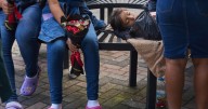 ICE is showing up to interview parents hoping to reunite with their children who entered US alone