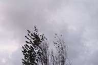 CLIMA HOY! Inestable con algunos chaparrones en Corrientes Capital