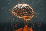Are You Missing Out on the Top-Performing AI ETF?