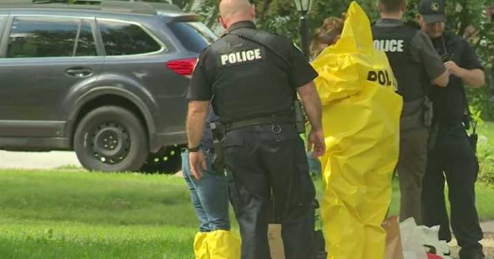 Woman charged with animal neglect after 6 dogs found dead in July