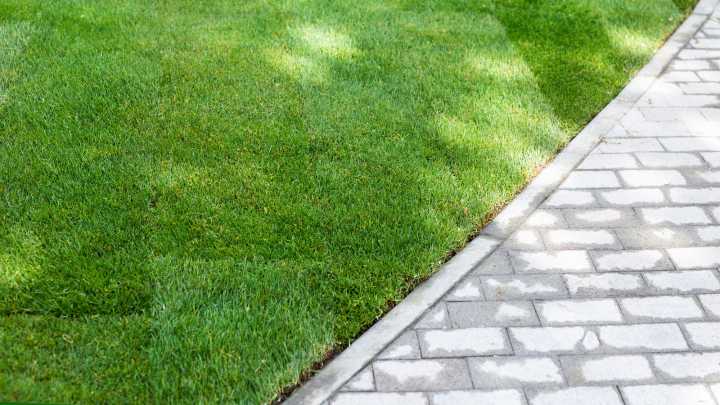 The Tool To Use For Edging Your Lawn That Gets The Job Done Quickly Without A Mess