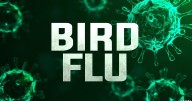 Bird flu hits Jefferson County poultry farm, quarantine in place