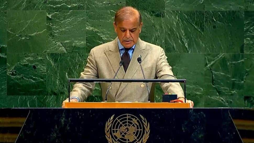 'India's Hindutva Extremism Danger To The World': 'Terror Exporter' Pakistan's PM Sharif At UN
