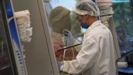 Lab-grown meat ban takes effect in Texas
