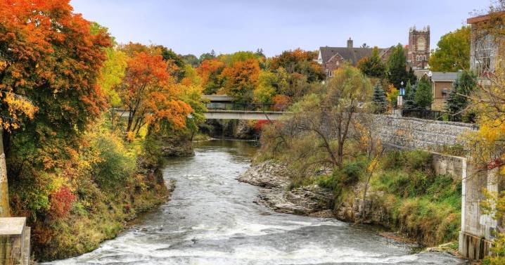 Best places in Ontario to see picture-perfect fall foliage