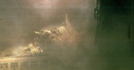 24 years after 9/11, previously unseen images are still emerging. This group finds and publishes them