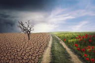 Expertos abogan por una mayor presión de los mercados a los Gobiernos en materia climática