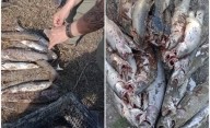 Sarmiento: decomisan casi 50 peces en controles de pesca en el Río Senguer