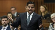 Minister recorded saying police lack resources to enforce gun buyback