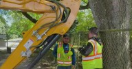 Davie construction worker airlifted to hospital after fall