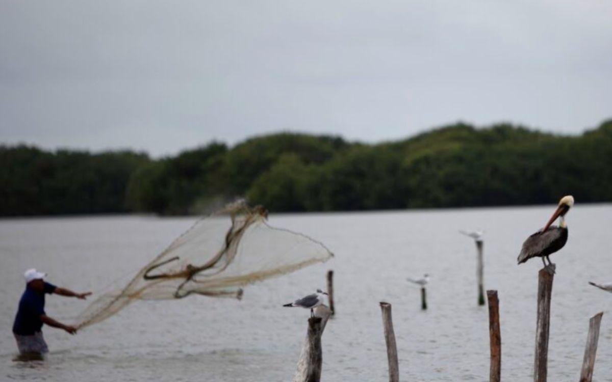 ¿Por qué el aumento del nivel del mar amenaza con desaparecer dos pueblos en Venezuela?