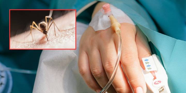 Dengue en el Tolima: 191 contagios y siete casos graves