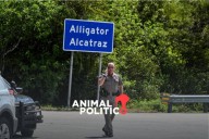 Tribunal ordena que centro de detención para migrantes, Alligator Alcatraz, permanezca abierto