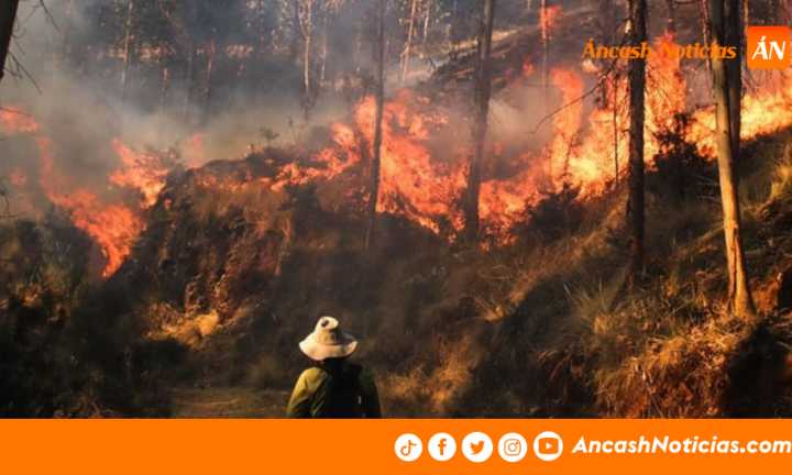 Áncash: incendios forestales ya destruyeron 758 hectáreas en lo que va del 2025