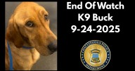 Chattanooga police mourn loss of K9 Buck to medical complications